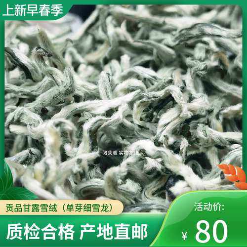2026年单芽细雪龙高档云南普洱绿茶甘露春尖新茶清香甘甜耐泡罐罐