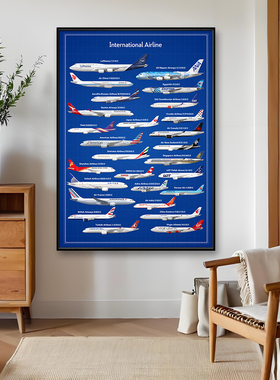 飞机挂画商用航天航空公司民航波音客机客厅卧室办公室书房装饰画