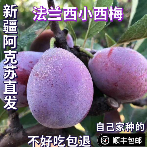 新鲜小西梅肠道清道夫
