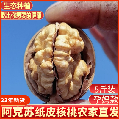 纸皮核桃农户直发手捏即开