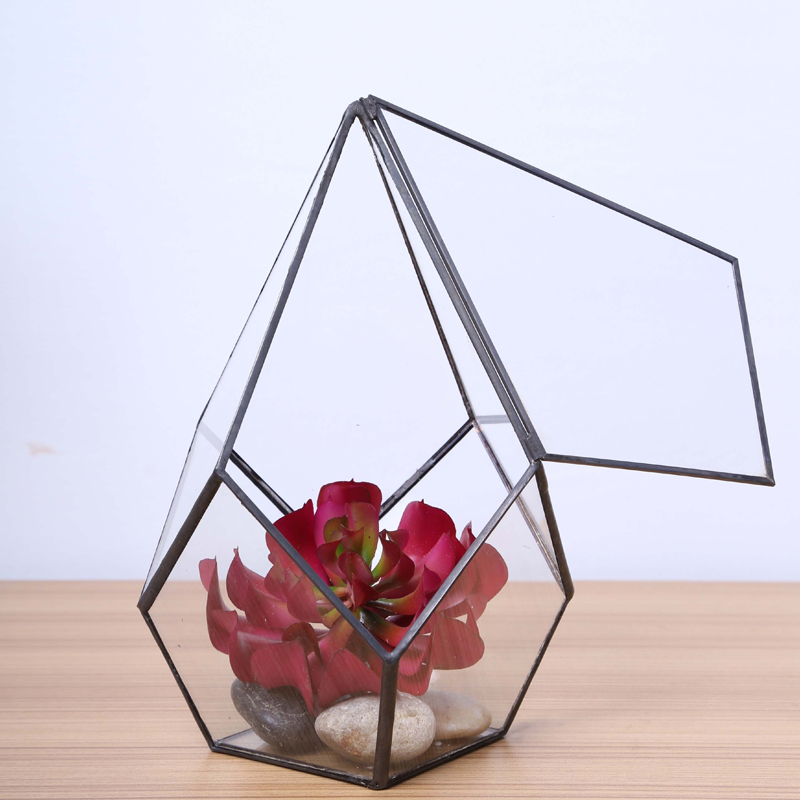 简约装饰玻璃花房多肉苔藓花器