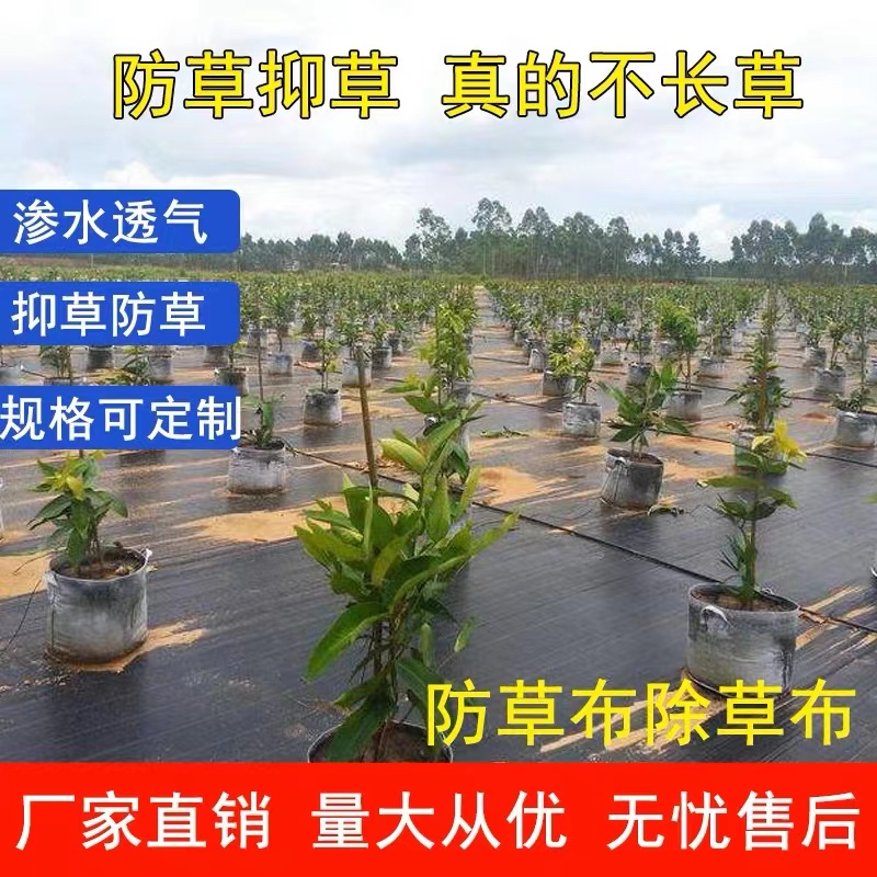 防草布除草布农用打孔盖草抑草遮草布透气透水抗老化果园加厚地膜