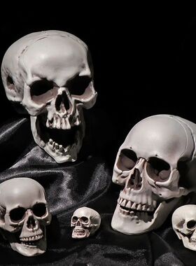 Plastic Skull Head High Quality Human Skeleton Halloween Pro