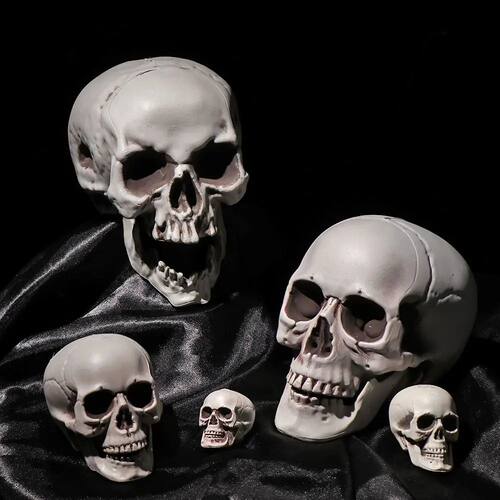 All Size Plastic Human Skull Head Skeleton Halloween Style P