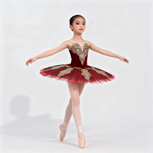 【丹律诗】艾斯米拉达独舞变奏芭蕾tutu裙堂吉诃德芭蕾舞演出服