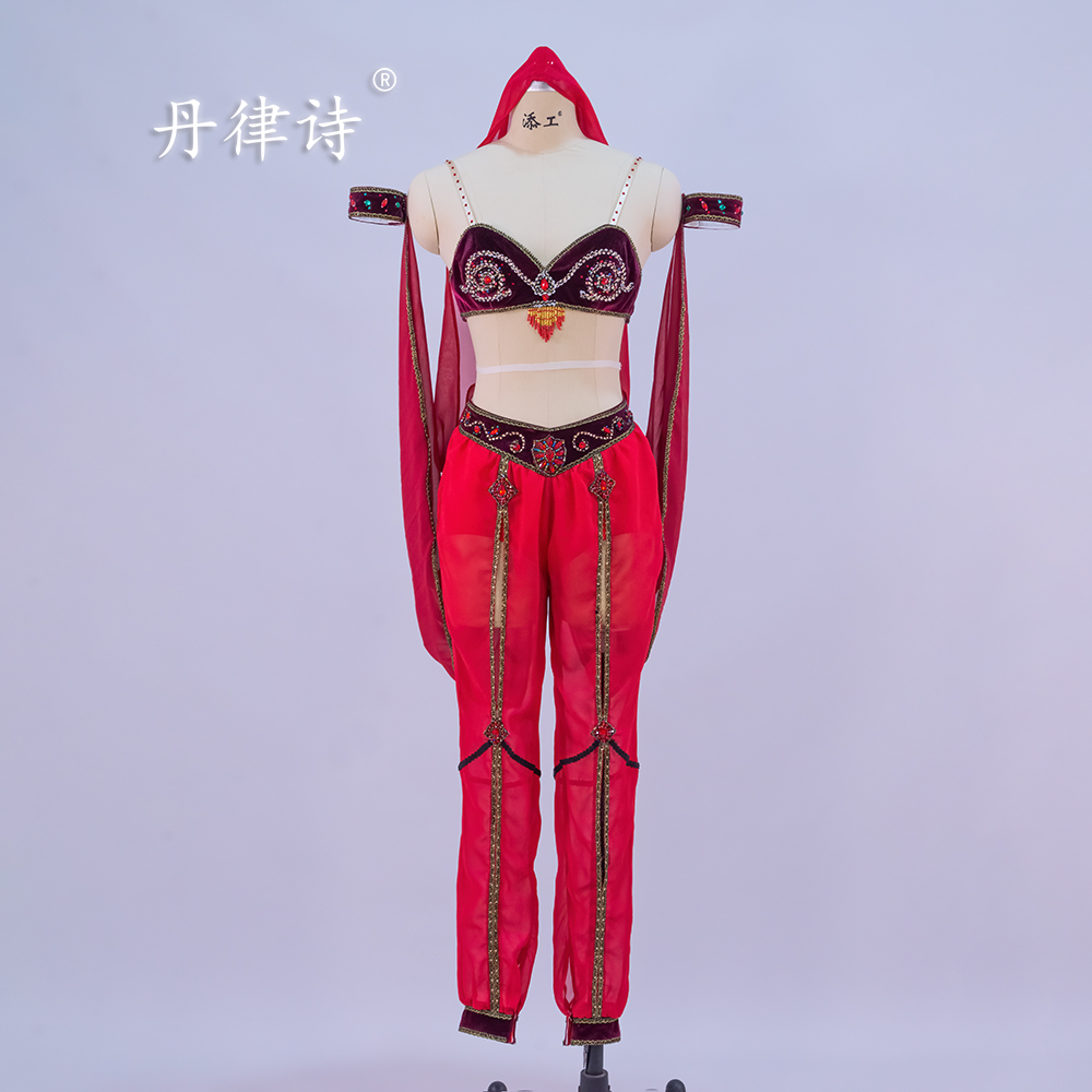 芭蕾舞团推荐演出服丹律诗出品