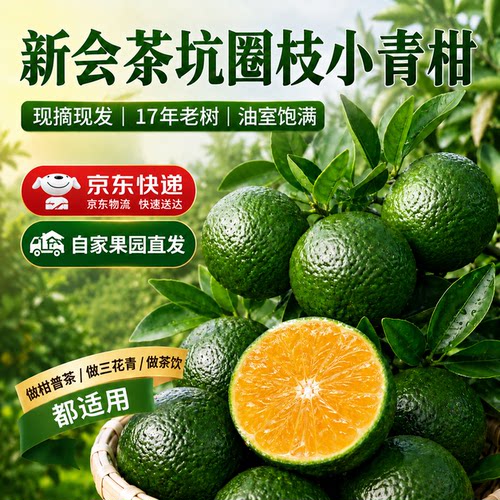 广东新会柑茶枝柑小青柑鲜果新鲜