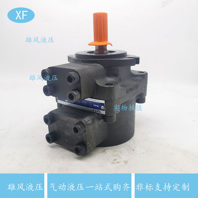 TZYY液压叶片泵PFE-31016 31022 31028 31036 31044PFE-41 PFE-51