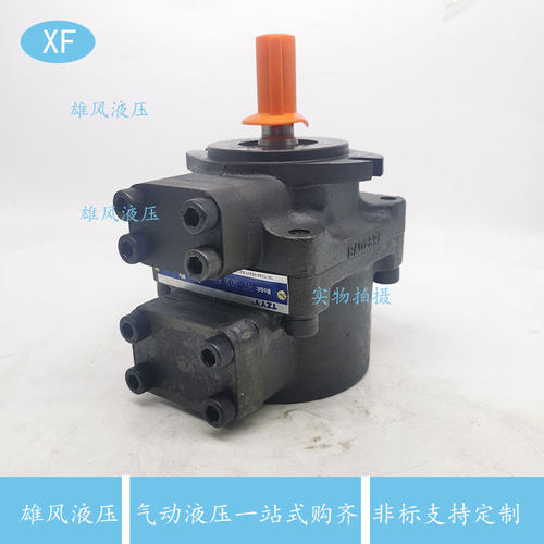 TZYY液压叶片泵PFE-31016 31022 31028 31036 31044PFE-41 PFE-51