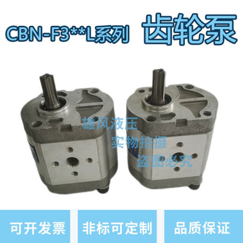 齿轮泵CBN-F314L-F304L F306L F310L F316L CBN-F320L F325L油泵