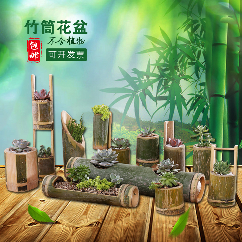 幼儿园装饰竹筒花盆多肉植物竹子创意悬挂壁挂组合盆栽包邮