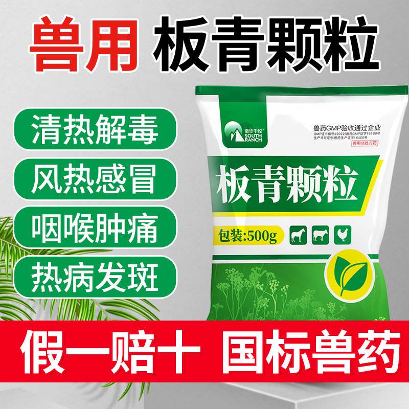 板青颗粒兽用中兽药板蓝根猪药牛鸡鸭鹅猪用风热治感冒嗽咳药