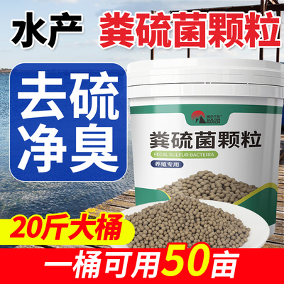 南华千牧粪硫菌颗粒水产养殖降解硫化氢调水黑泥底净臭生物底改王