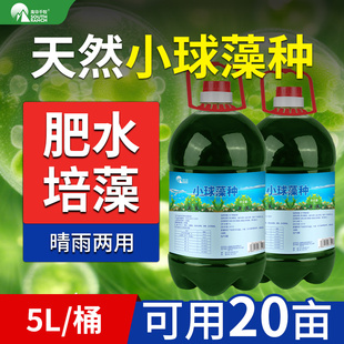 小球藻藻种浓缩复合硅藻种水产养殖鱼塘用肥水培藻增氧藻类培养基