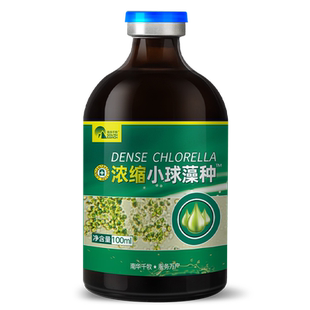 浓缩小球藻藻种卵囊藻水产养殖肥水培藻绿藻小球藻培养基硅藻藻种
