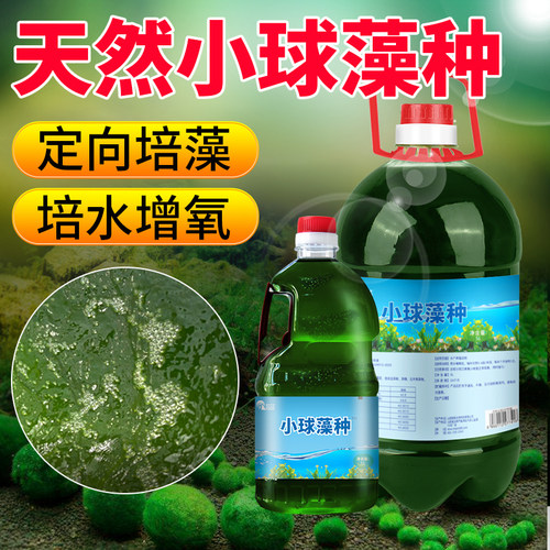 小球藻浓缩复合增氧水产养殖