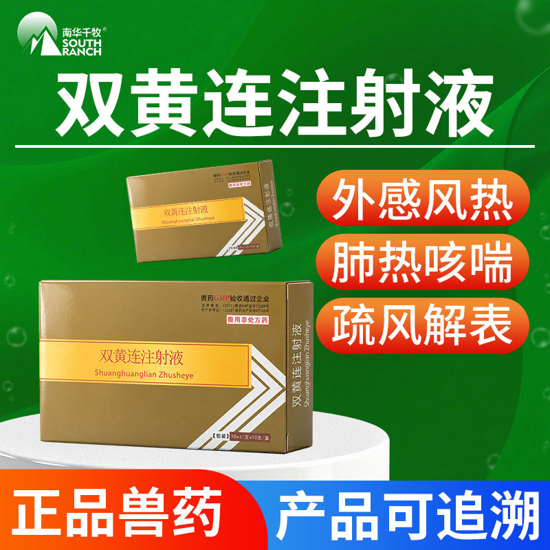 兽药双黄连注射液兽用针剂猪牛羊宠物猫狗清热解毒退烧感冒咳嗽药