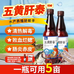 五黄肝肽五黄散三黄散鱼虾蟹出血烂鳃腐皮烂身肝胆综合症水产养殖