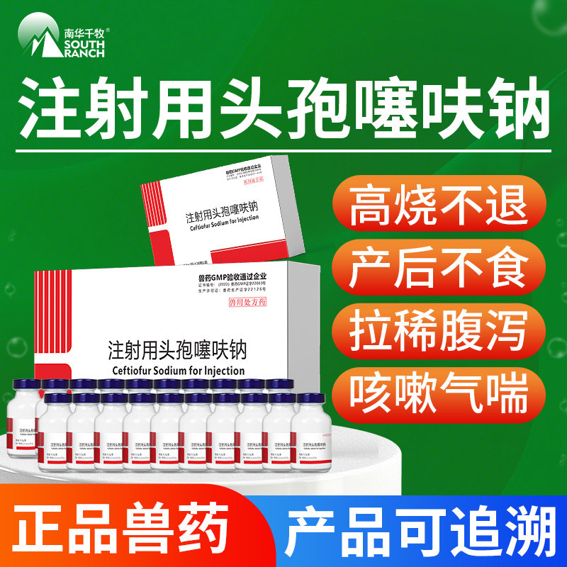 注射用头孢噻呋钠用液兽药兽猪牛羊产后消炎抗菌药咳嗽气喘注射液