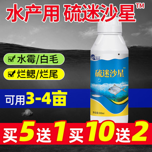 硫醚沙星水产养殖专用水霉病专治鱼药白毛腐皮烂鳃烂尾水霉净克星