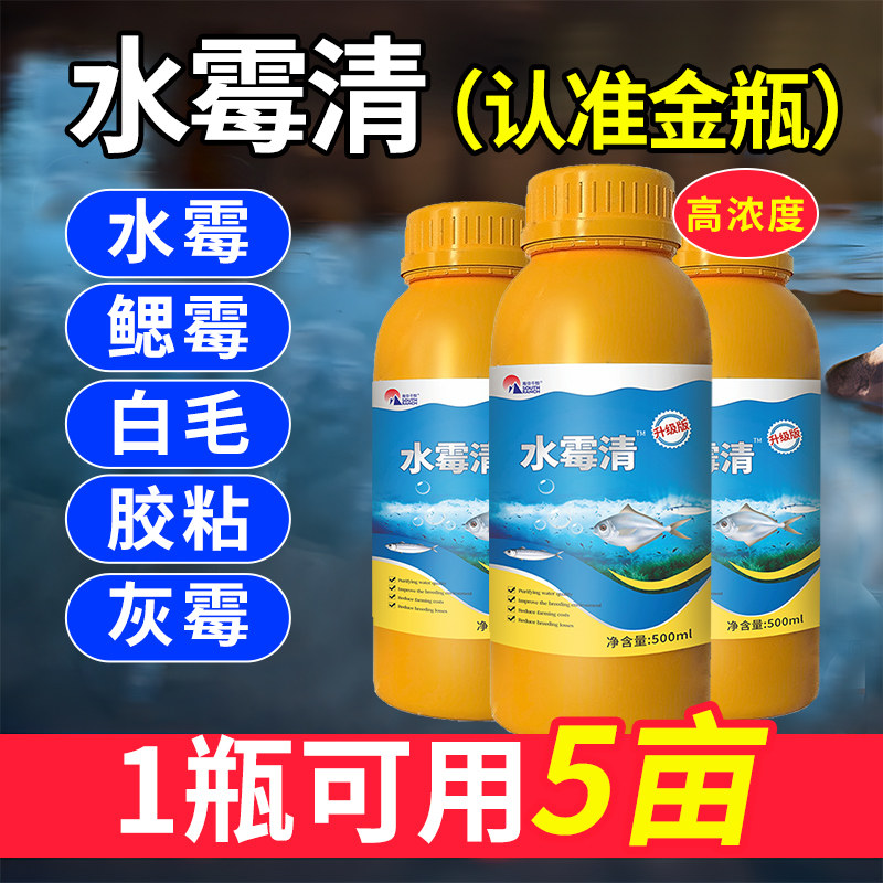 水霉病专治鱼药水霉清硫醚沙星水产养殖白毛病腐皮烂鳃烂尾水霉净 - 实物图