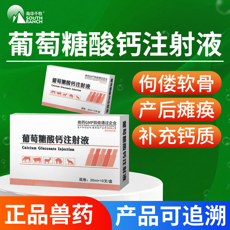 南华千牧葡萄糖酸钙注射液猪药牛羊犬兽用补钙缺乏症产后瘫痪针剂