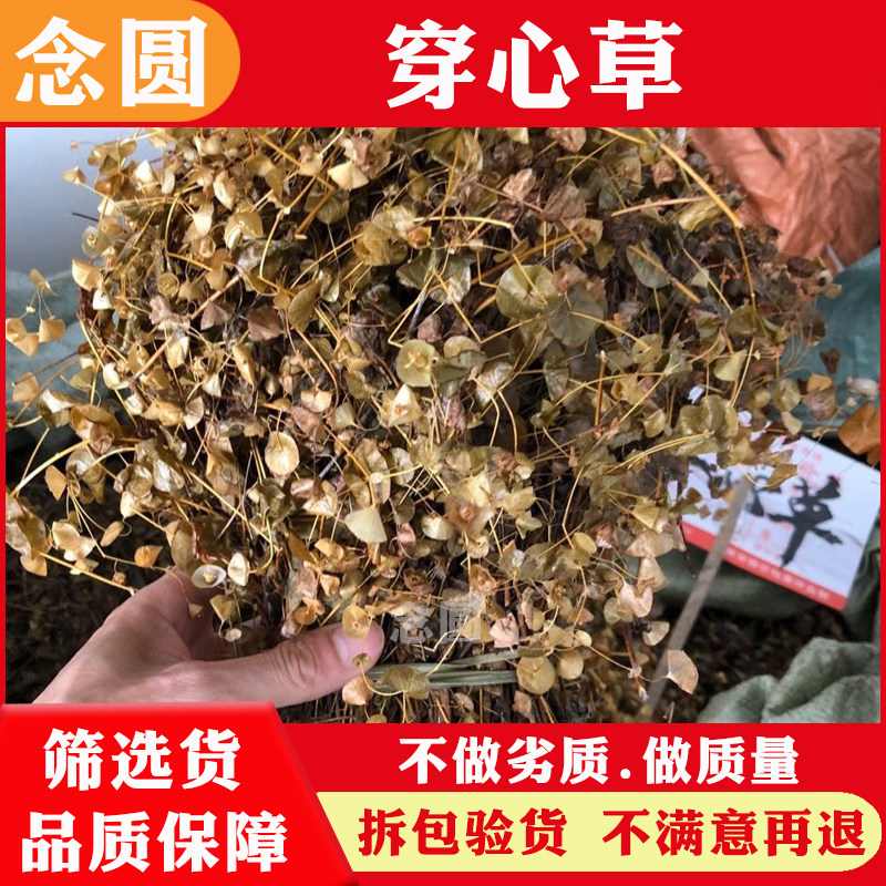 念圆 穿心草干货中药材穿钱草野