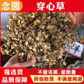念圆 穿心草干货中药材穿钱草野生顶心风狮子草串钱草中草药新货