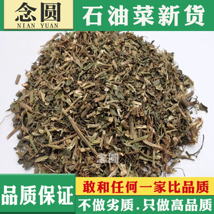 念圆 石油菜干货 石油菜中药材石觅菜 肥猪菜打不死疳积草 中草药