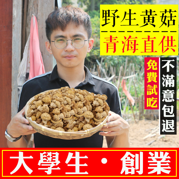 Qinghai specialty Qilian wild Yellow mushroom Yellow mushroom dried food nail Soup mushrooms Mushroom Fungusin the Agri rice/Dried foods/Condiment , Dried foods/Meat Dry , Dry/Native , Mushroom category  category - from Buy2taobao.com to provide professional Taobao agent buy service