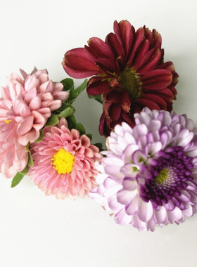 MicroGreens新鲜彩菊食用花 雏菊 鲜花 小菊花 酒店摆盘装饰30朵