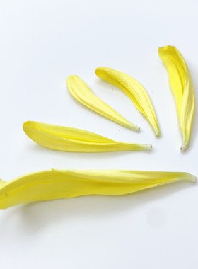 微绿田园 新鲜食用花草 黄色菊花瓣 30g/盒 约300片 西餐日料摆盘