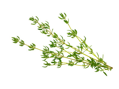 西餐特色食材 新鲜香草 Thyme 新鲜法国百里香 50g 麝香草