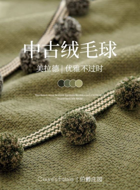 新款小红书推荐爆款毛毛球儿童房简约现代辅料窗纱沙发装饰品