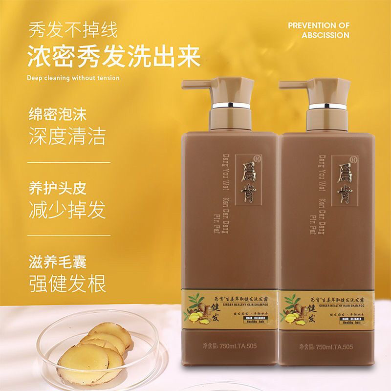 为肯生姜萃取健发洗发露水固发平衡油脂去屑控油养发护发洗头发膏