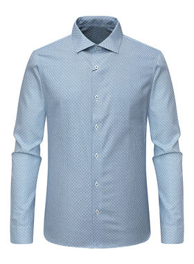 F3640恺断码清仓春秋男士清新蓝色商务绅士休闲全棉免烫长袖衬衫