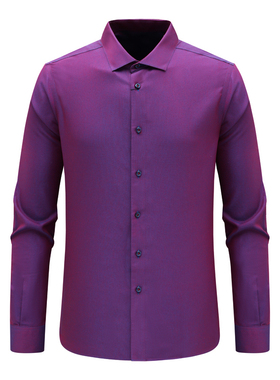 F3511恺断码清仓春秋款男士商务绅士职业装紫色全棉免烫长袖衬衫