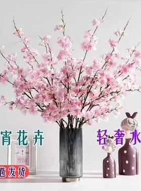 网红珍珠李鲜花干枝重瓣桃枝花水培植物樱花室内水生花卉耐寒