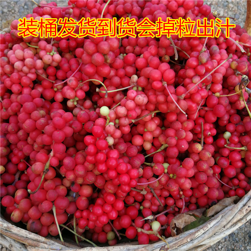 长白山五味子产地发货药用泡酒