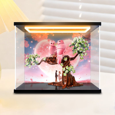 川帝适用IDEAS系列21365爱情鸟拼装积木亚克力回型灯展示盒防尘