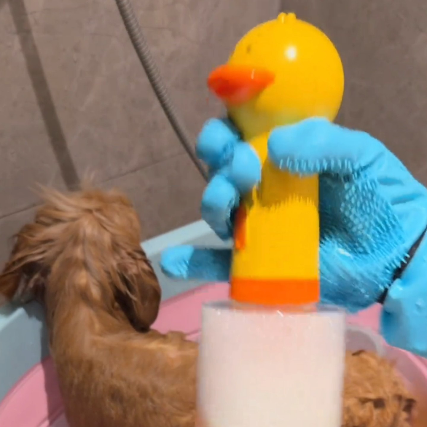 宠物沐浴露打泡机狗狗洗澡起泡器沫猫咪洗浴稀释瓶小黄鸭子泡泡机