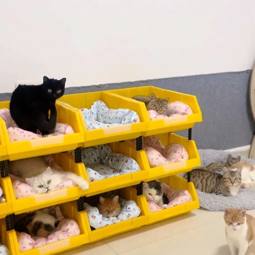 猫窝防溅加高斜口耐用猫砂盆