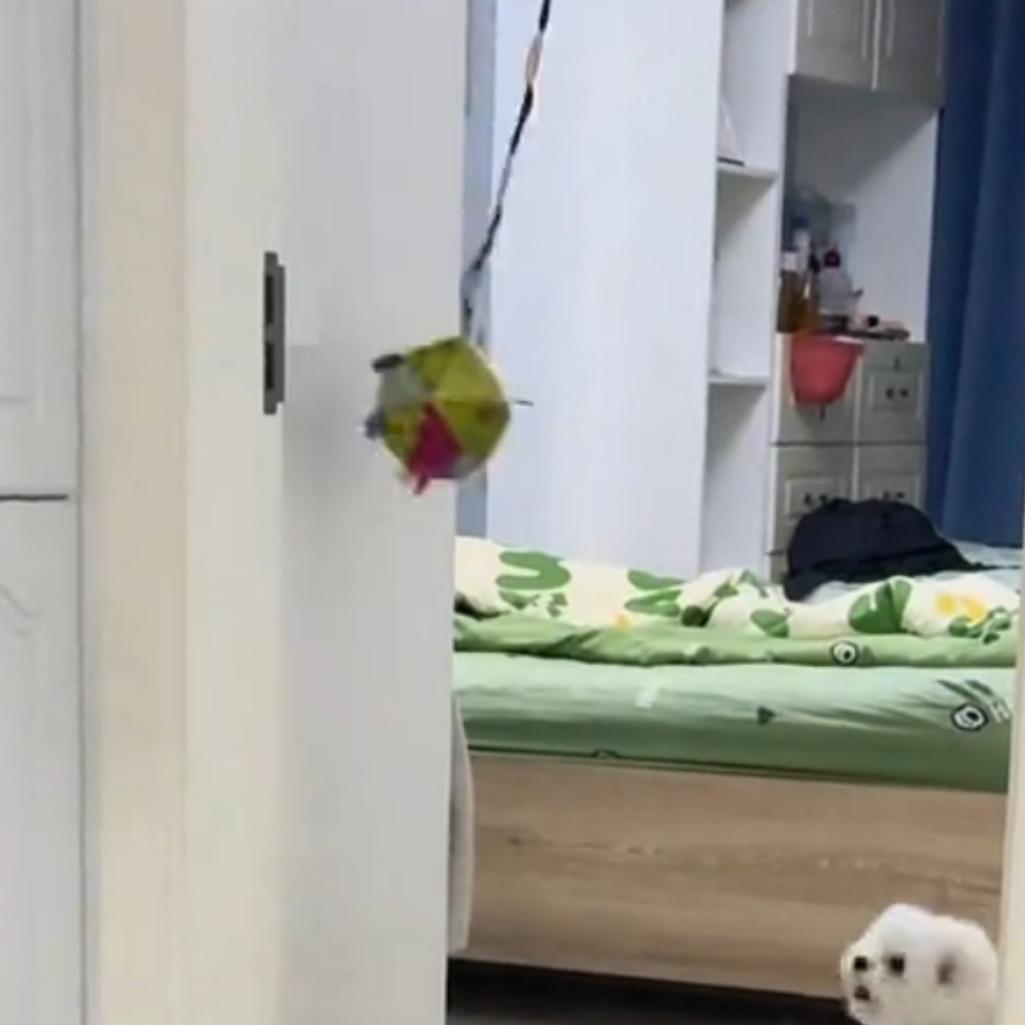 新彩带响铃发声宠物毛绒玩具球球训导狗狗玩具宠物发声球猫狗玩具