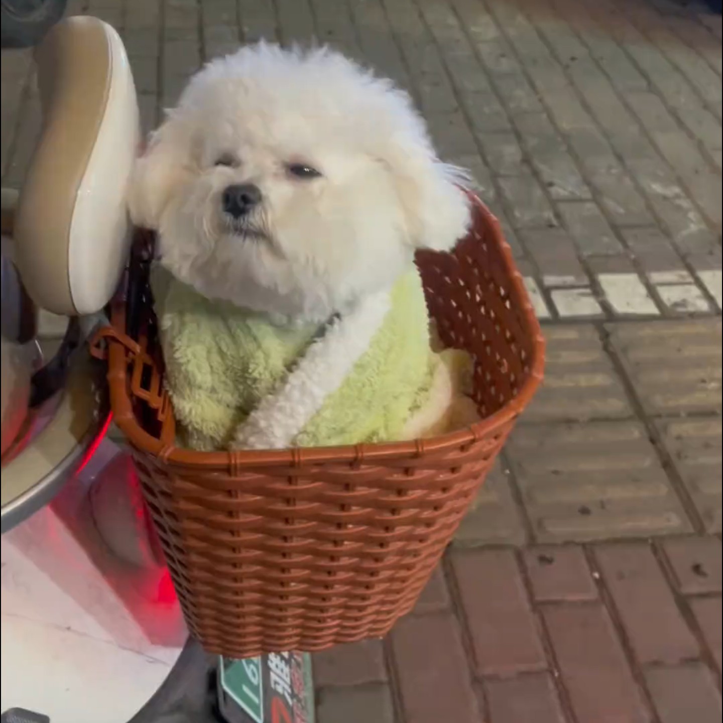 宠物篮子出门猫狗通用车篮筐置物收纳筐大容量宠物外出筐便携可爱,宠物/宠物食品及用品,宠物背包,淘宝优惠券,粉丝福利购,淘宝优惠卷