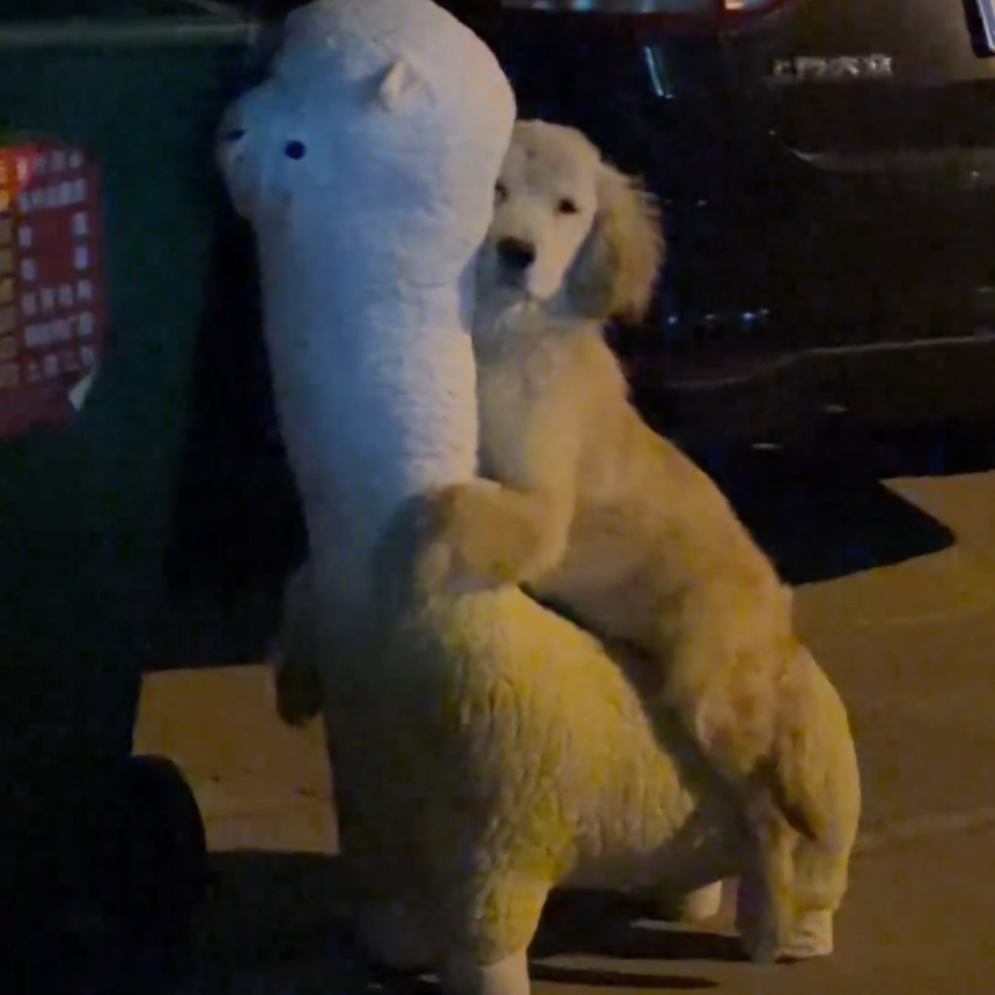 狗狗羊驼玩具磨牙洁齿互动毛绒解闷神器凳子摆件换鞋凳人宠共用,宠物/宠物食品及用品,磨牙洁齿玩具/绳结玩具,淘宝优惠券,粉丝福利购,淘宝优惠卷