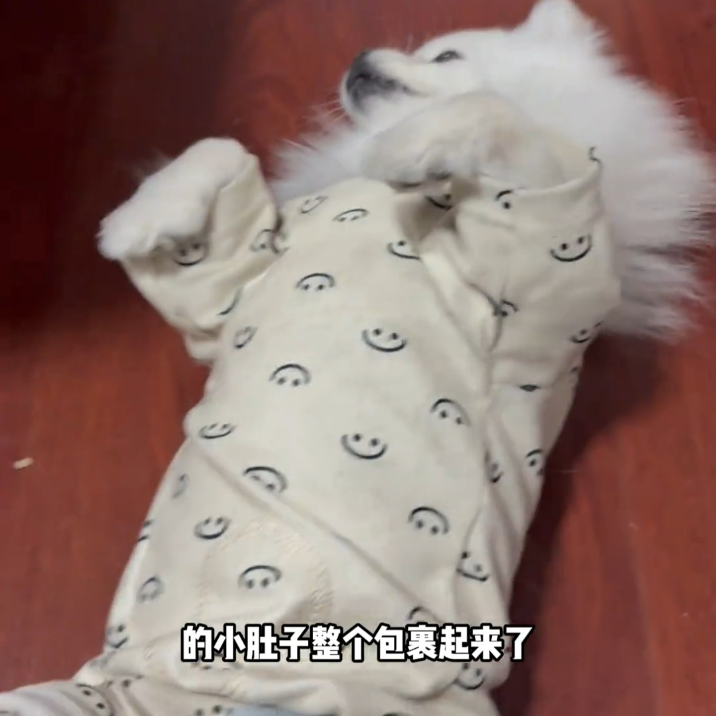 狗狗全包家居服可爱秋冬休闲可爱风服装宠物小狗日常全包肚子衣服,宠物/宠物食品及用品,狗宠物服装/雨衣,淘宝优惠券,粉丝福利购,淘宝优惠卷