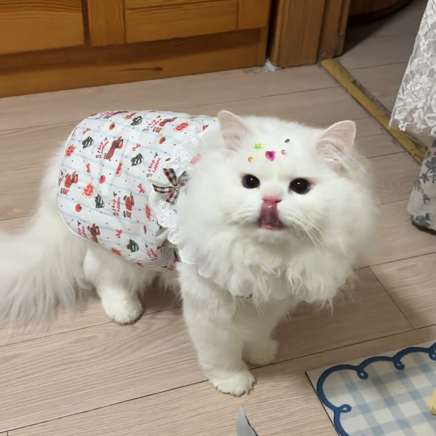 猫咪秋冬季加绒保暖蝴蝶结公主裙狗狗宠物卡通衣服白色可爱风小猫,宠物/宠物食品及用品,狗宠物服装/雨衣,淘宝优惠券,粉丝福利购,淘宝优惠卷