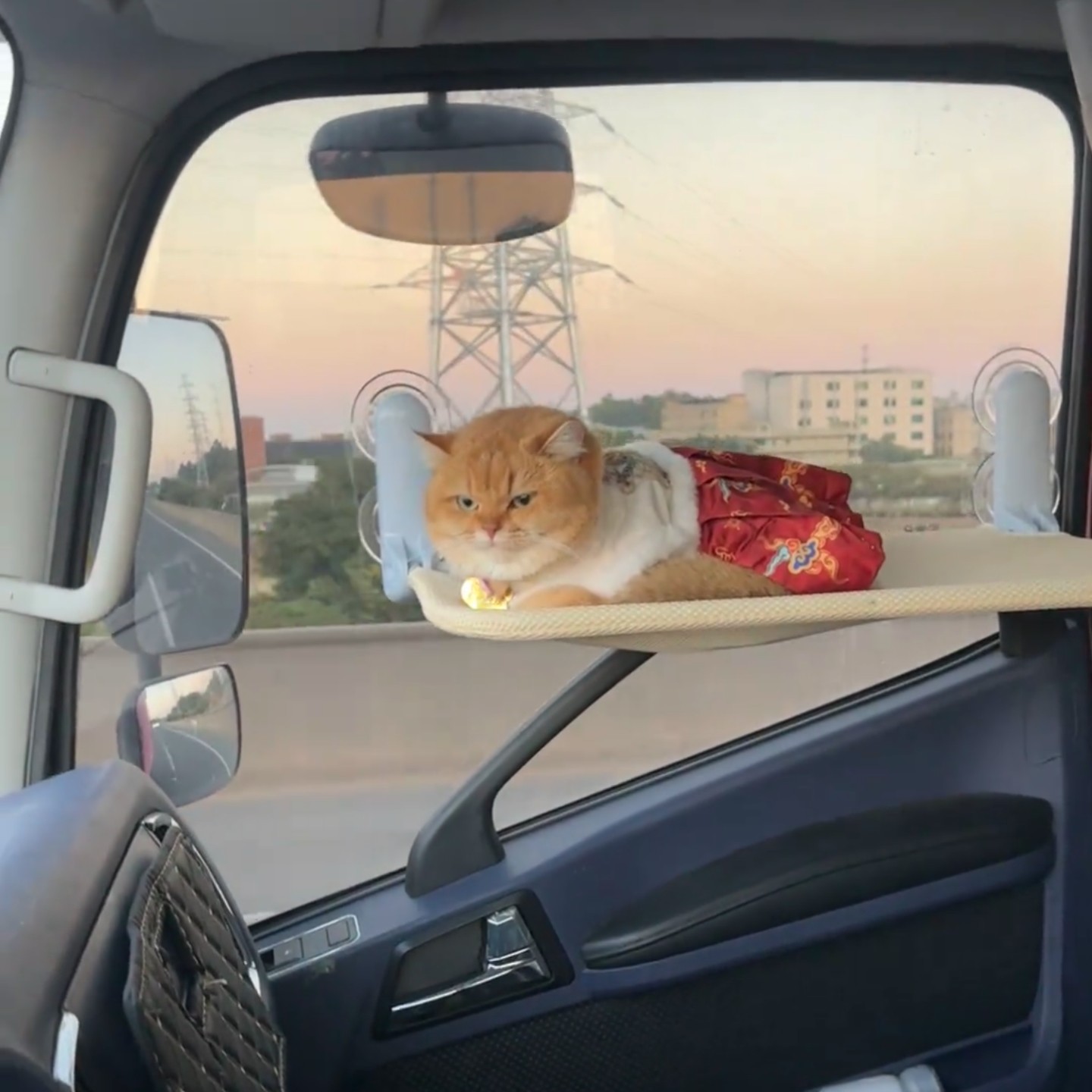 车载猫咪吊床可折叠可拼接四个吸盘超强承重40斤悬挂式猫窝可拆洗,宠物/宠物食品及用品,猫窝/屋/帐篷/沙发,淘宝优惠券,粉丝福利购,淘宝优惠卷