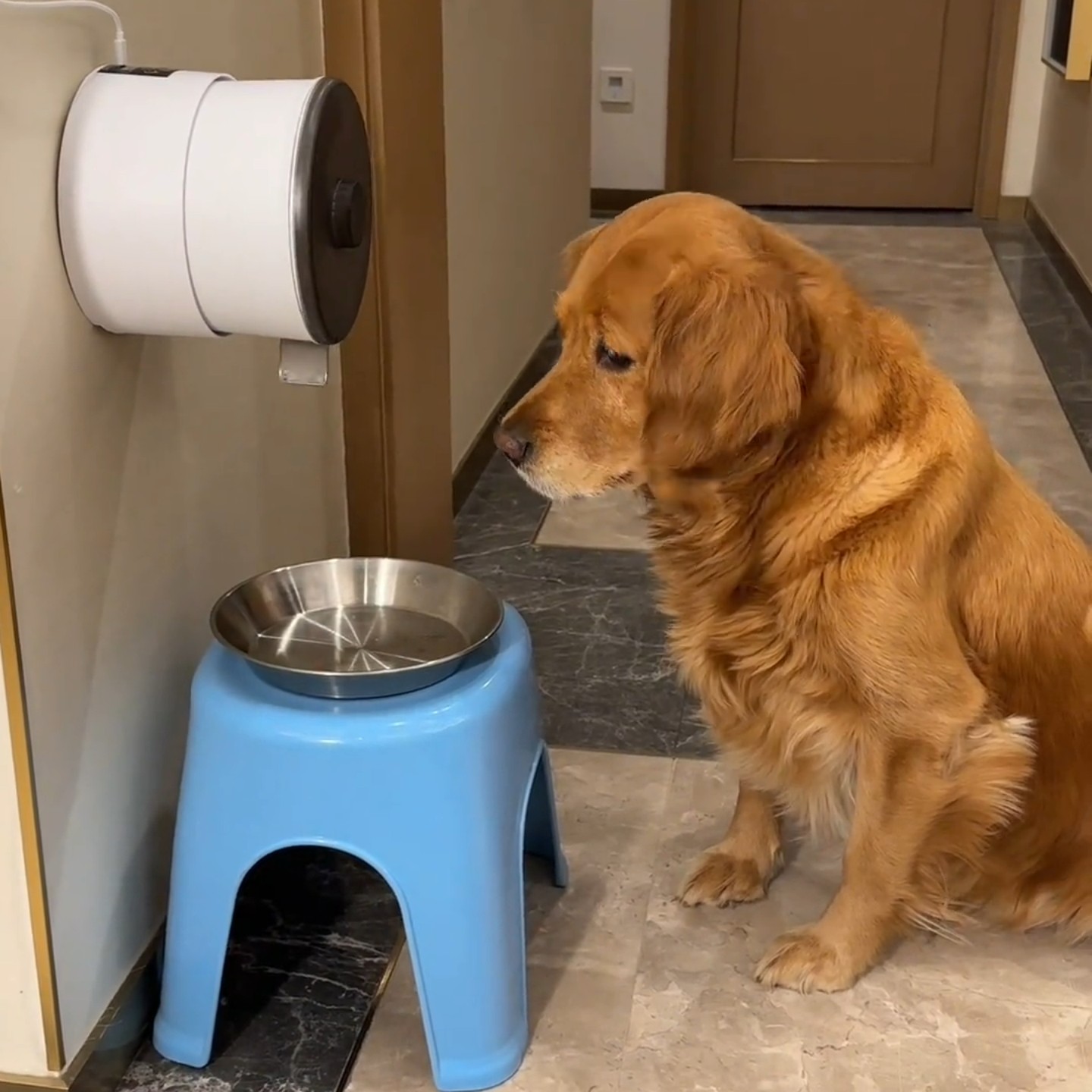 宠物智能喂食机小狗壁挂式喂食器全自动家用圆形猫狗定时远程控制,宠物/宠物食品及用品,宠物智能喂食器,淘宝优惠券,粉丝福利购,淘宝优惠卷