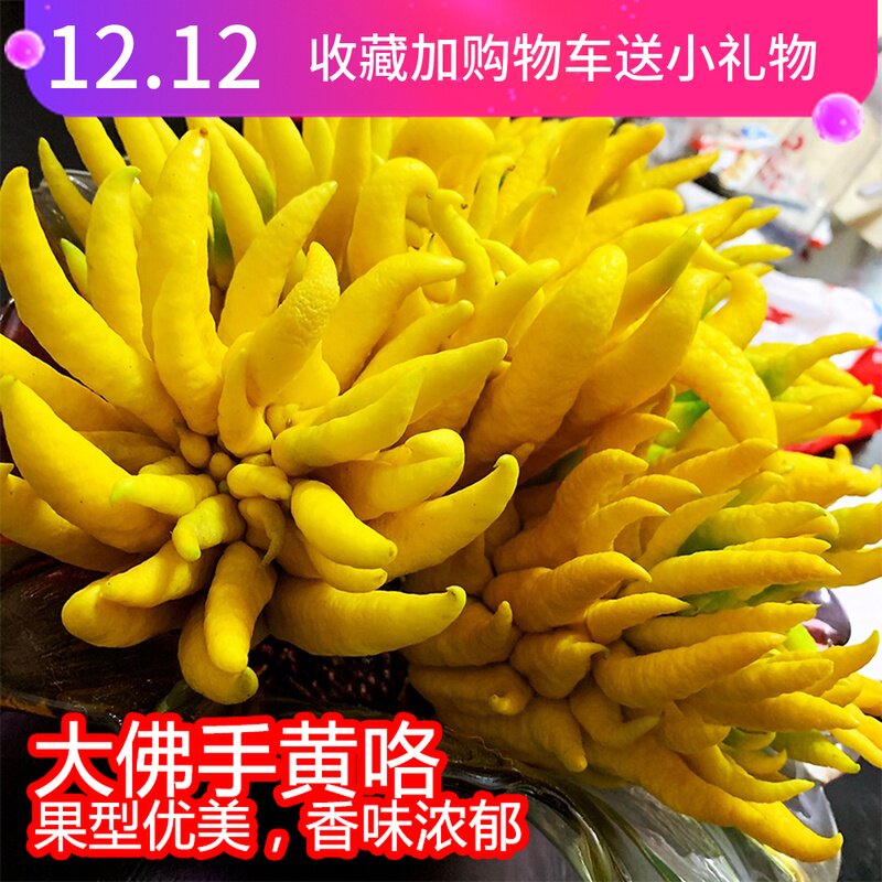 【大果超大果】超大佛手 金华佛手果 佛手柑 金佛手 金佛手果佛手|ruв категории закуски/орехи/специальность, кандирование/унаби/Мэй/сухофрукты, бергамота фрукты - от Buy2taobao.com для оказания профессиональной услуги покупки агента Taobao
